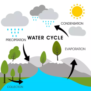 Learn About Water - Water Quality Association